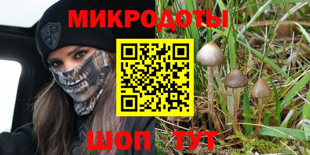 Галлюциногенные грибы Magic Shrooms Светлоград